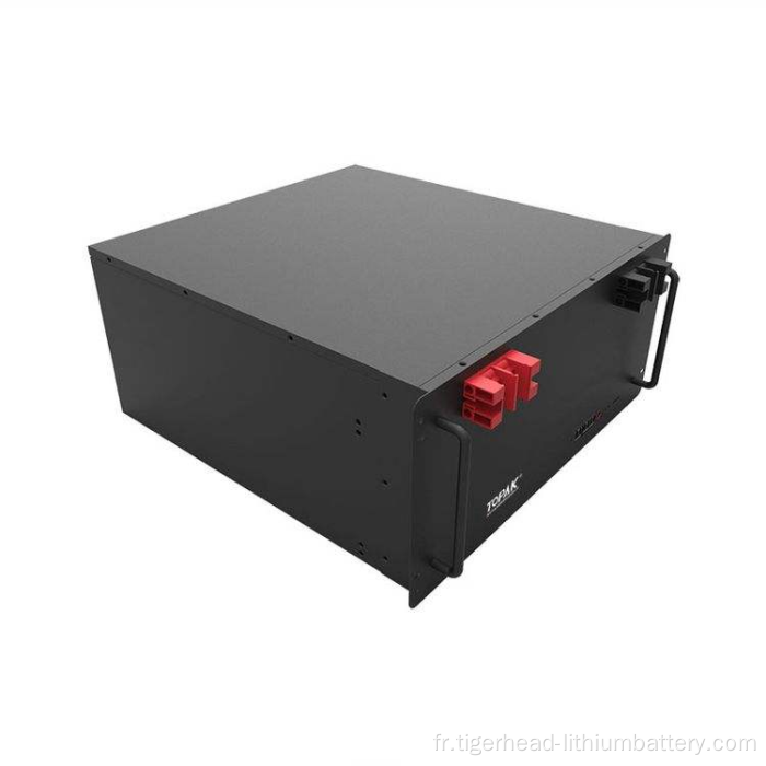 Batterie LiFePO4 montée en rack 10,24 kWh 51,2 V 200 Ah